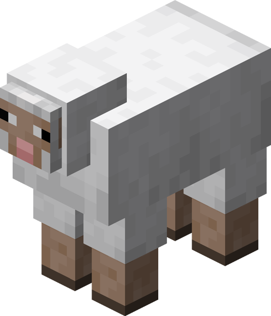 Sheep